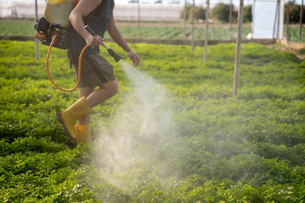 Best Mosquito Control Services  in Ocean Ridge, FL