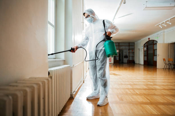 Best Wasp Removal Services  in Ocean Ridge, FL