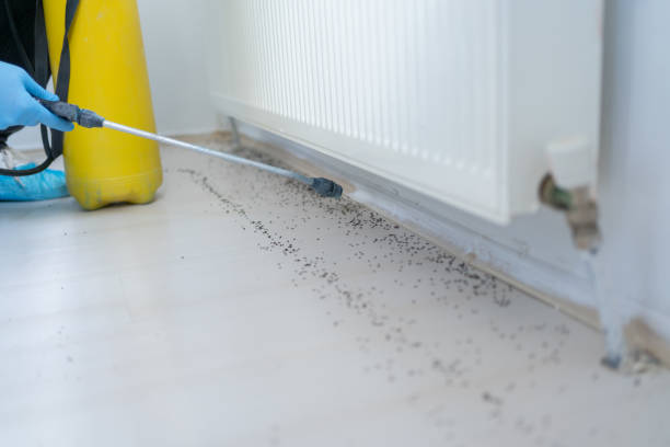 Best Commercial Pest Control Services  in Ocean Ridge, FL
