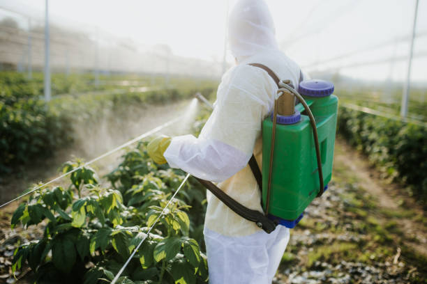 Best Pest Inspection Near Me  in Ocean Ridge, FL